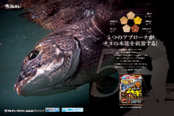m_magazine015_s.jpg